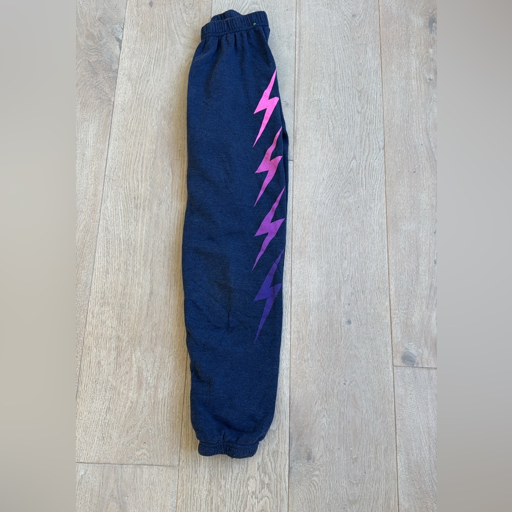 Aviator Nation Lightning Bolt Joggers - Navy and Purple. XS.